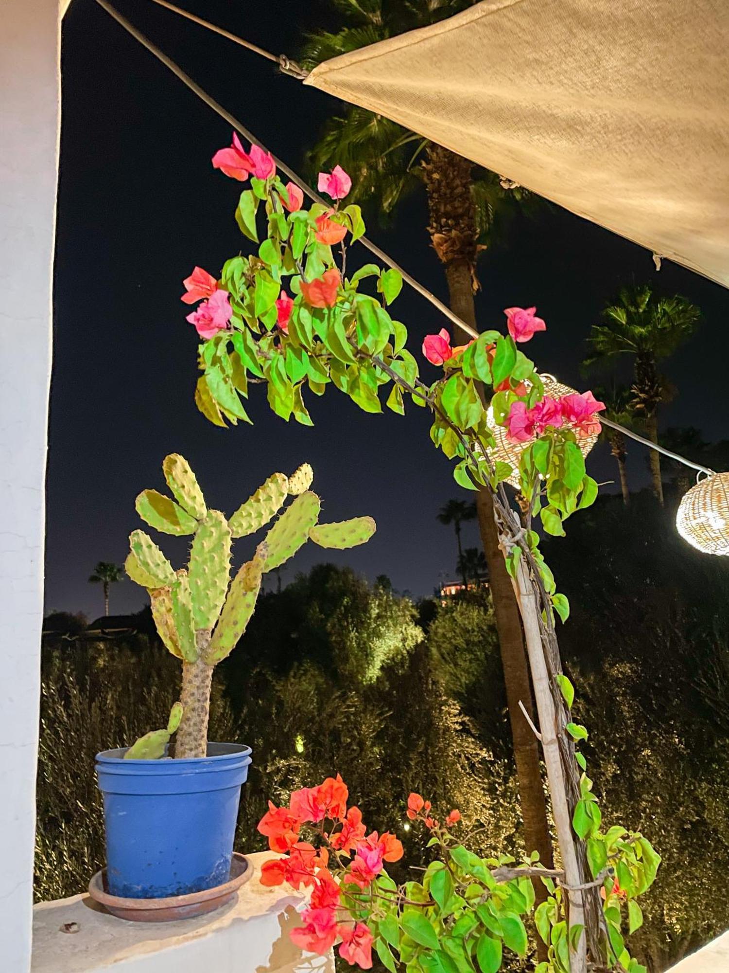 Riad Elli Marrakech 마라케시 외부 사진